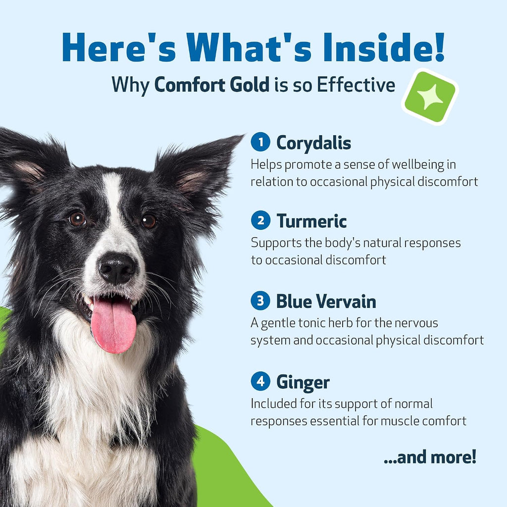 Pet Wellbeing Comfort Gold para Perros - Suplemento Herbal Veterinario 118 ml