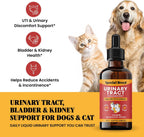 Tratamiento Natural para Infección Urinaria en Perros y Gatos – Gotas de Arándano para Riñón y Vejiga