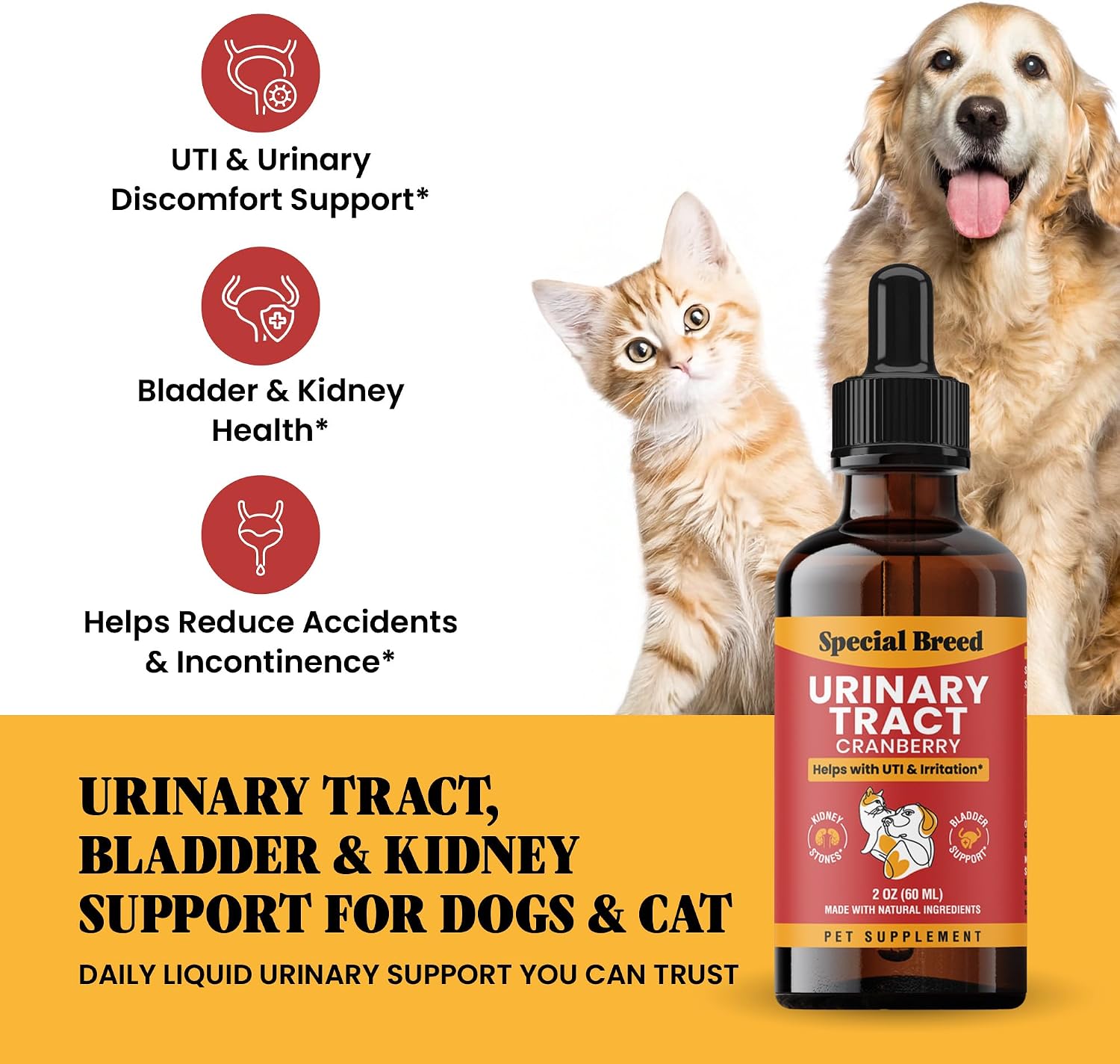 Tratamiento Natural para Infección Urinaria en Perros y Gatos – Gotas de Arándano para Riñón y Vejiga