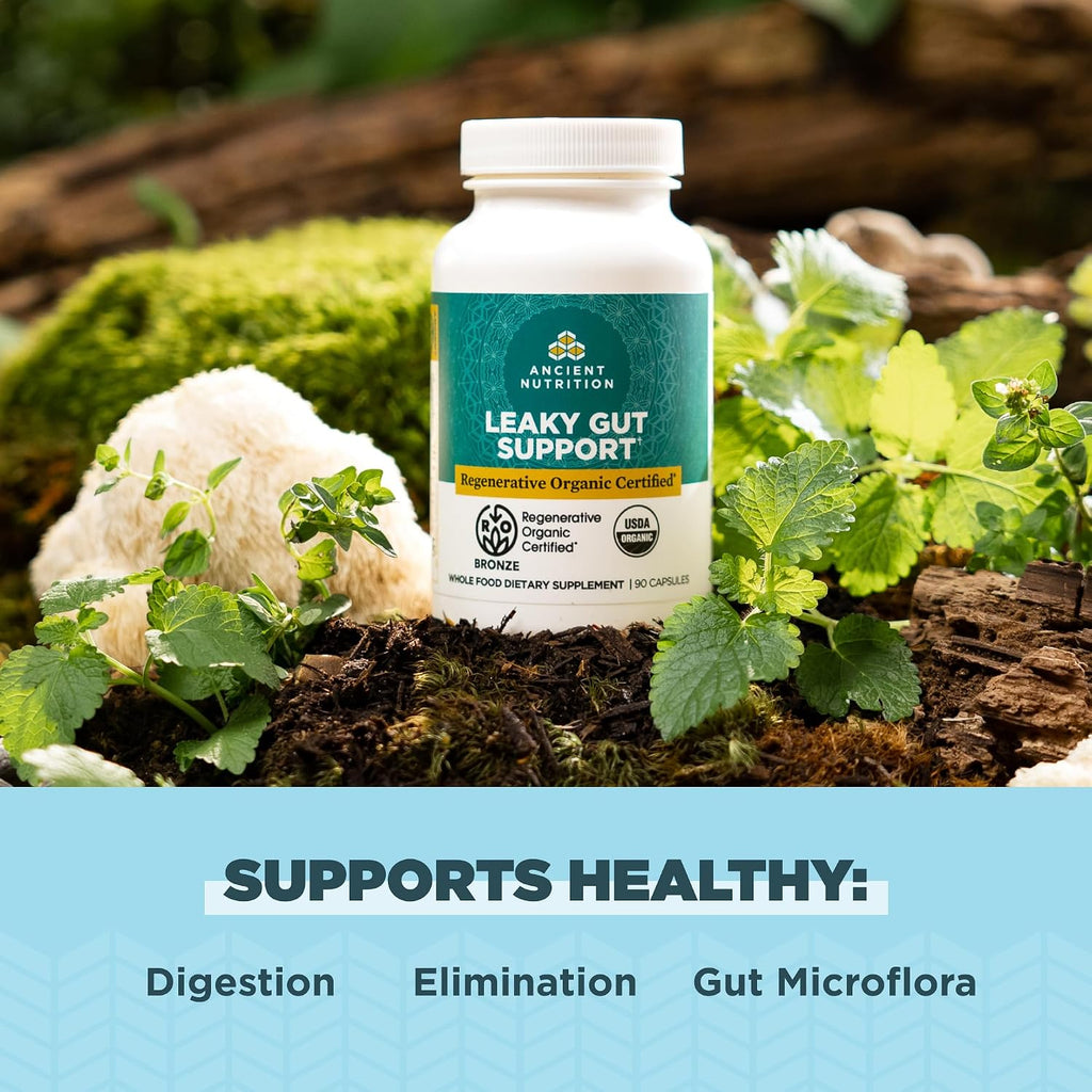Ancient Nutrition Suplemento de Salud Intestinal, Certificado Orgánico Regenerativo, Cápsulas para el Soporte Intestinal, Formulado con Melena de León, Raíz de Regaliz Fermentada y Hierbabuena, Sin Gluten, Paleo y Keto, 90 Cápsulas