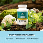 Ancient Nutrition Suplemento de Salud Intestinal, Certificado Orgánico Regenerativo, Cápsulas para el Soporte Intestinal, Formulado con Melena de León, Raíz de Regaliz Fermentada y Hierbabuena, Sin Gluten, Paleo y Keto, 90 Cápsulas