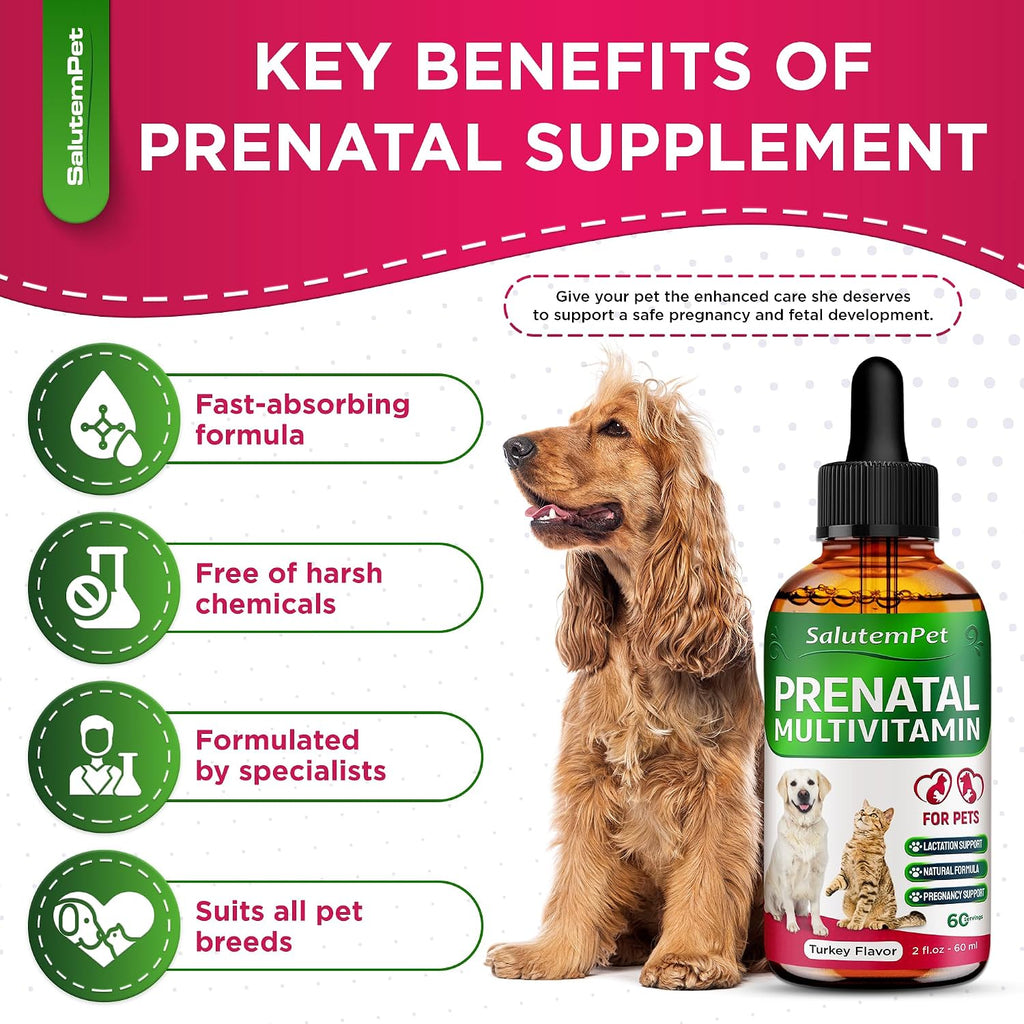 SalutemPet Vitaminas Prenatales para Perras y Gatas – Suplemento Multivitamínico Líquido – 60 ml
