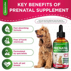 SalutemPet Vitaminas Prenatales para Perras y Gatas – Suplemento Multivitamínico Líquido – 60 ml