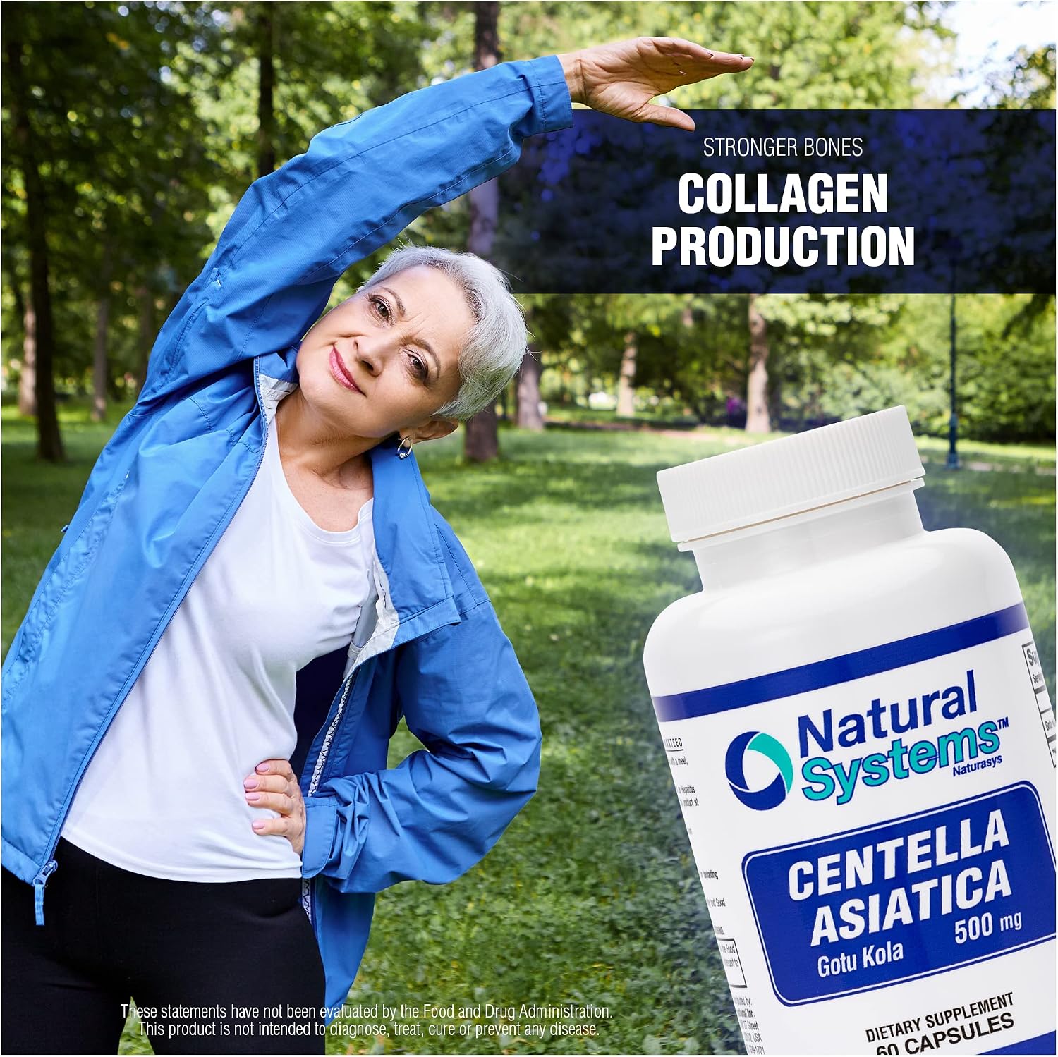 Centella Asiática 500 mg 60 Cápsulas - Gotu Kola - Natural Systems
