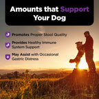Nutri-Vet Pre & Probiotics for Dogs, 120 Chews, Liver & Cheese Flavor