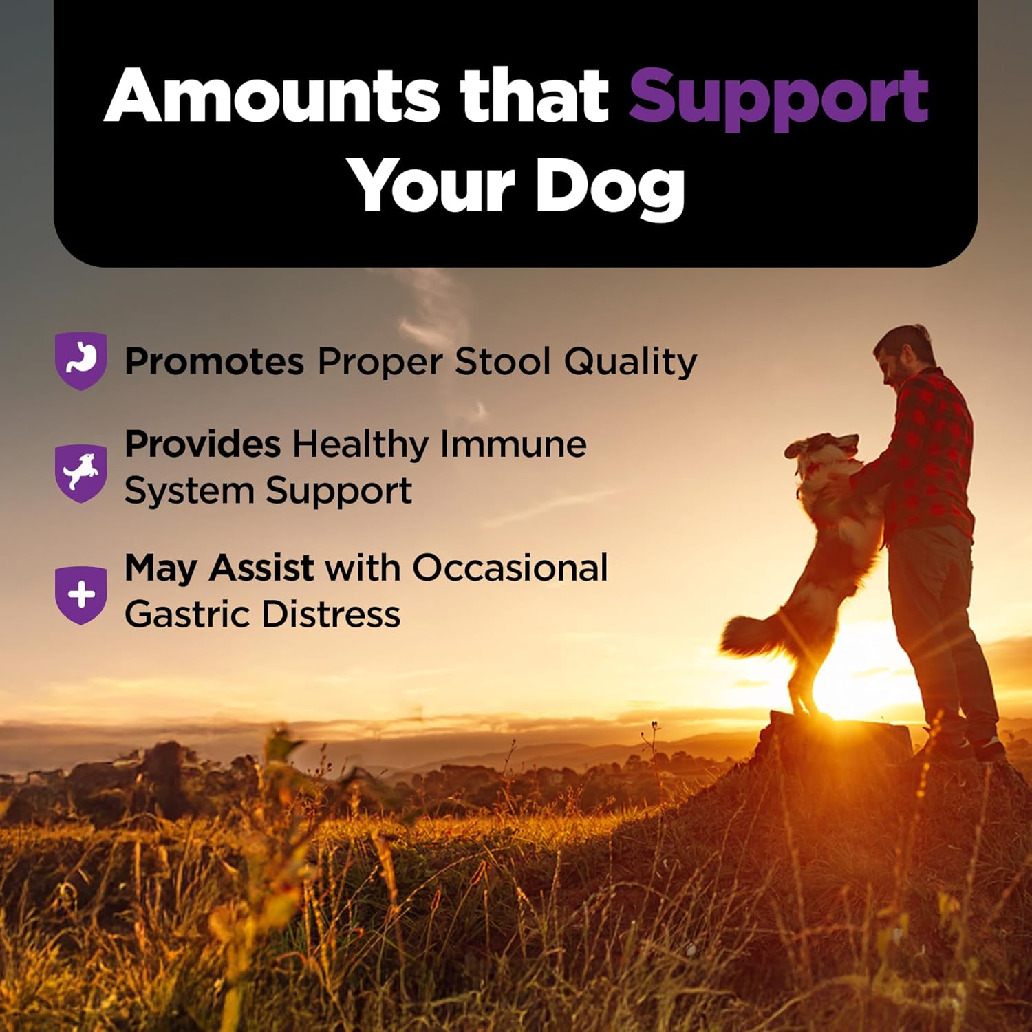Nutri-Vet Pre & Probiotics for Dogs, 120 Chews, Liver & Cheese Flavor