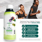 Xtra Concentrate - Complejo B Líquido con Vitaminas B, Energía y Apoyo para el Estrés