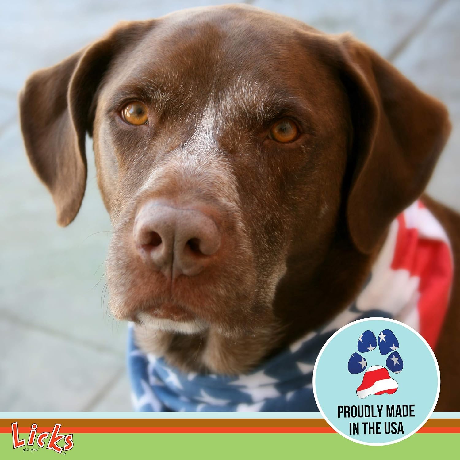 Licks Active Dog - Recuperación muscular y energía para perros activos - Aminoácidos, L-Carnitina, Glucosamina, Aceite de pescado Omega-3 y Vitamina B6 - Sobres líquidos sin pastillas - Sabor pollo - 15 sobres