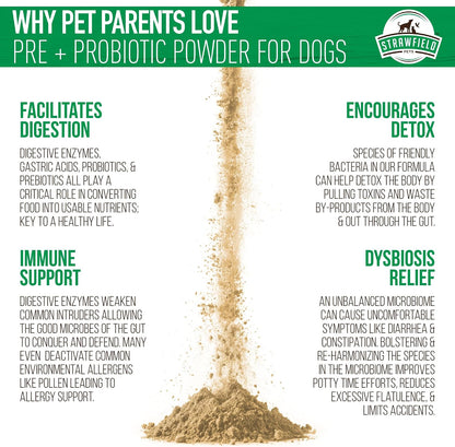 Pre + Probiotic Powder for Dogs with – Apoyar la absorción de nutrientes esenciales. – Image 5