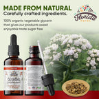 Extracto de Quinina (Cinchona officinalis) Tintura Líquida – 670 mg (60 ml) – FLORIDA HERBS