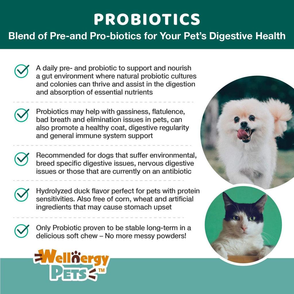 Wellnergy Probióticos y Prebióticos Diarios en Masticables Suaves para Perros y Gatos - 60 unidades