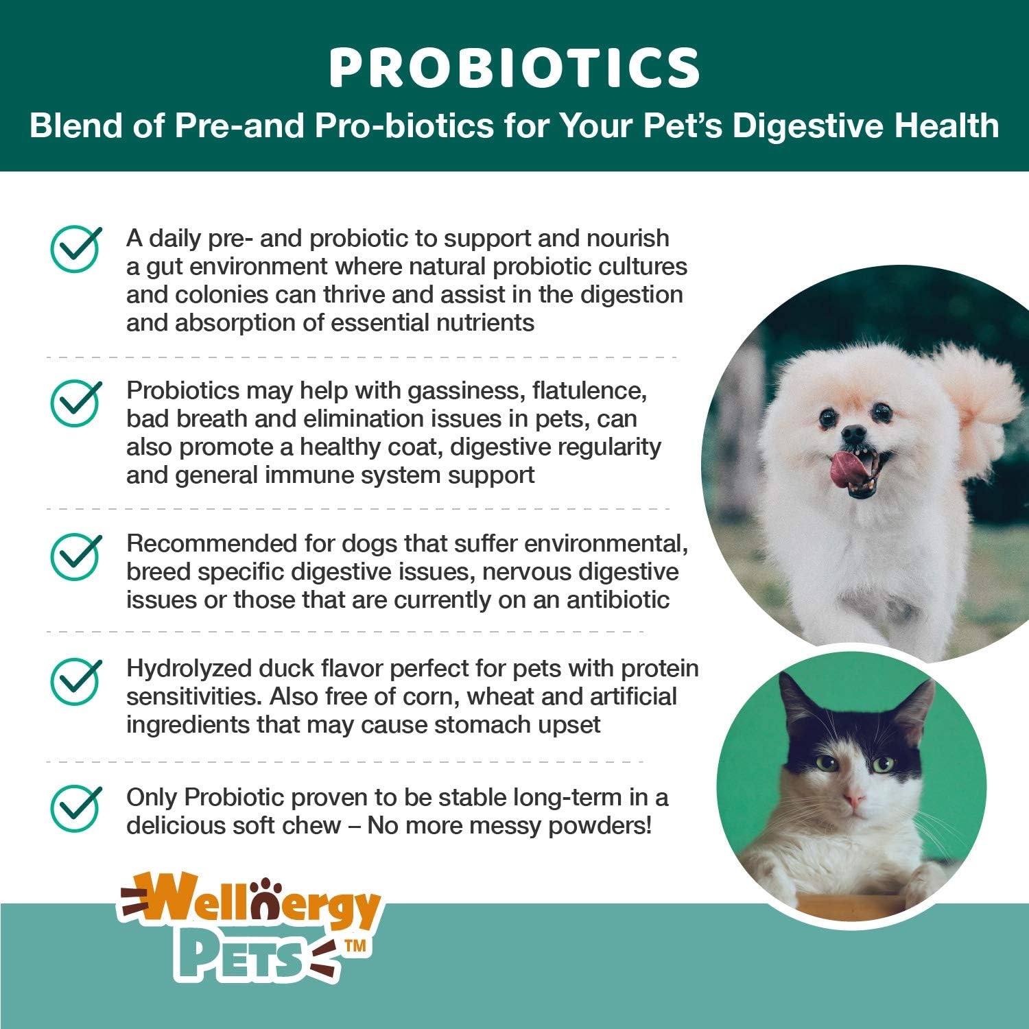 Wellnergy Probióticos y Prebióticos Diarios en Masticables Suaves para Perros y Gatos - 60 unidades