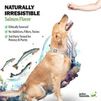 Deley Naturals Skin & Coat Chews - Suplemento para perros con Omega 3, Biotina, Colágeno y Vitaminas - 90 chews