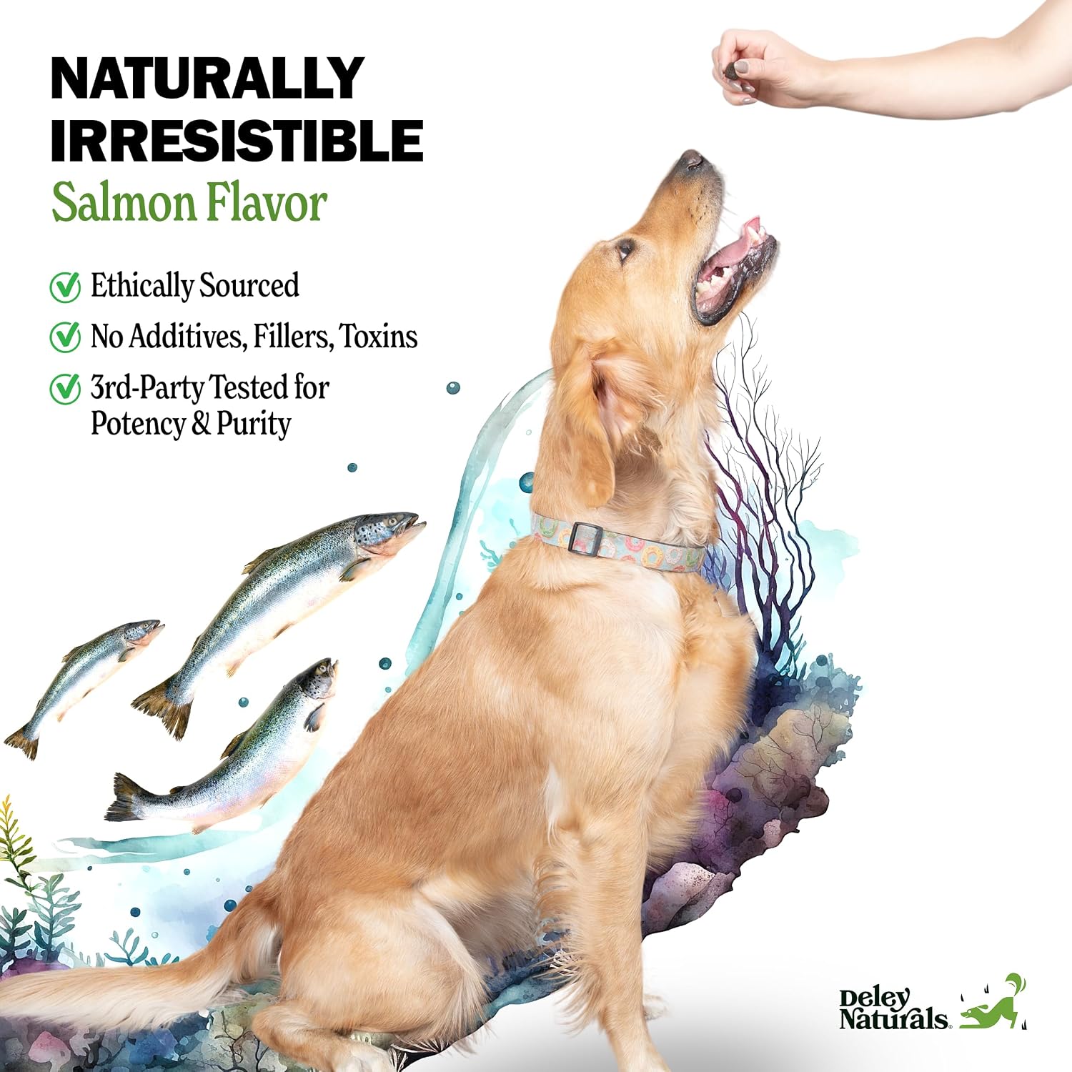 Deley Naturals Skin & Coat Chews - Suplemento para perros con Omega 3, Biotina, Colágeno y Vitaminas - 90 chews
