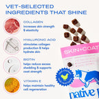 Native Pet Snacks para Piel y Pelaje - Aceite de Pescado Omega 3 para Perros - Suplemento para Piel y Pelaje - Alivio del Picor, Pelaje Brillante y Control de Muda - Colágeno, Ácido Hialurónico, Biotina, Probióticos y Aceite de Salmón - 30 Snacks