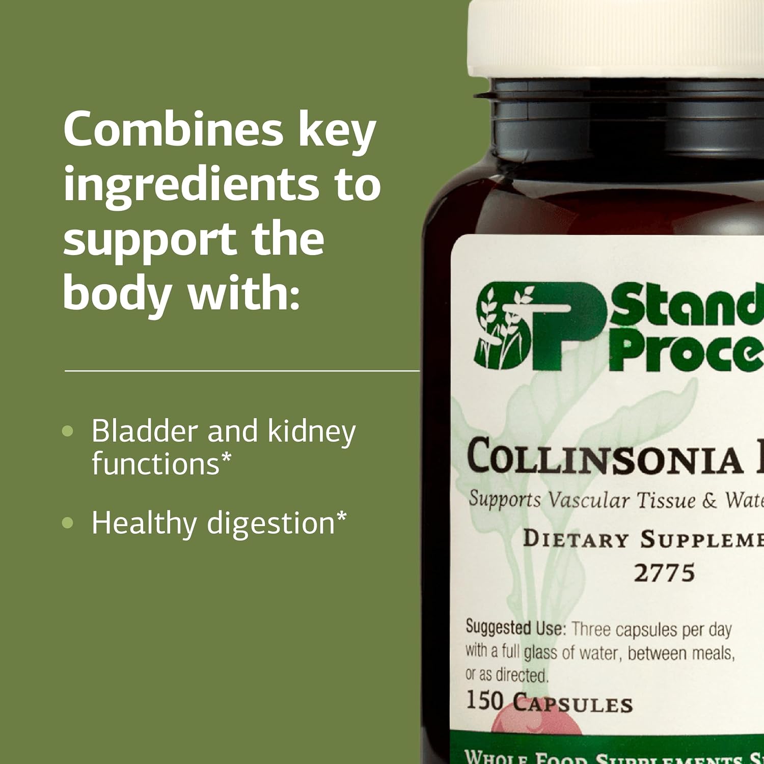 Standard Process Collinsonia Root - Suplemento de Raíz de Collinsonia para la Salud Vascular y Renal, 150 Cápsulas