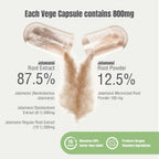 Herbsforever Cápsulas de Jatamansi | Nardostachys Jatamansi | 60 Cápsulas Veganas, 800 mg