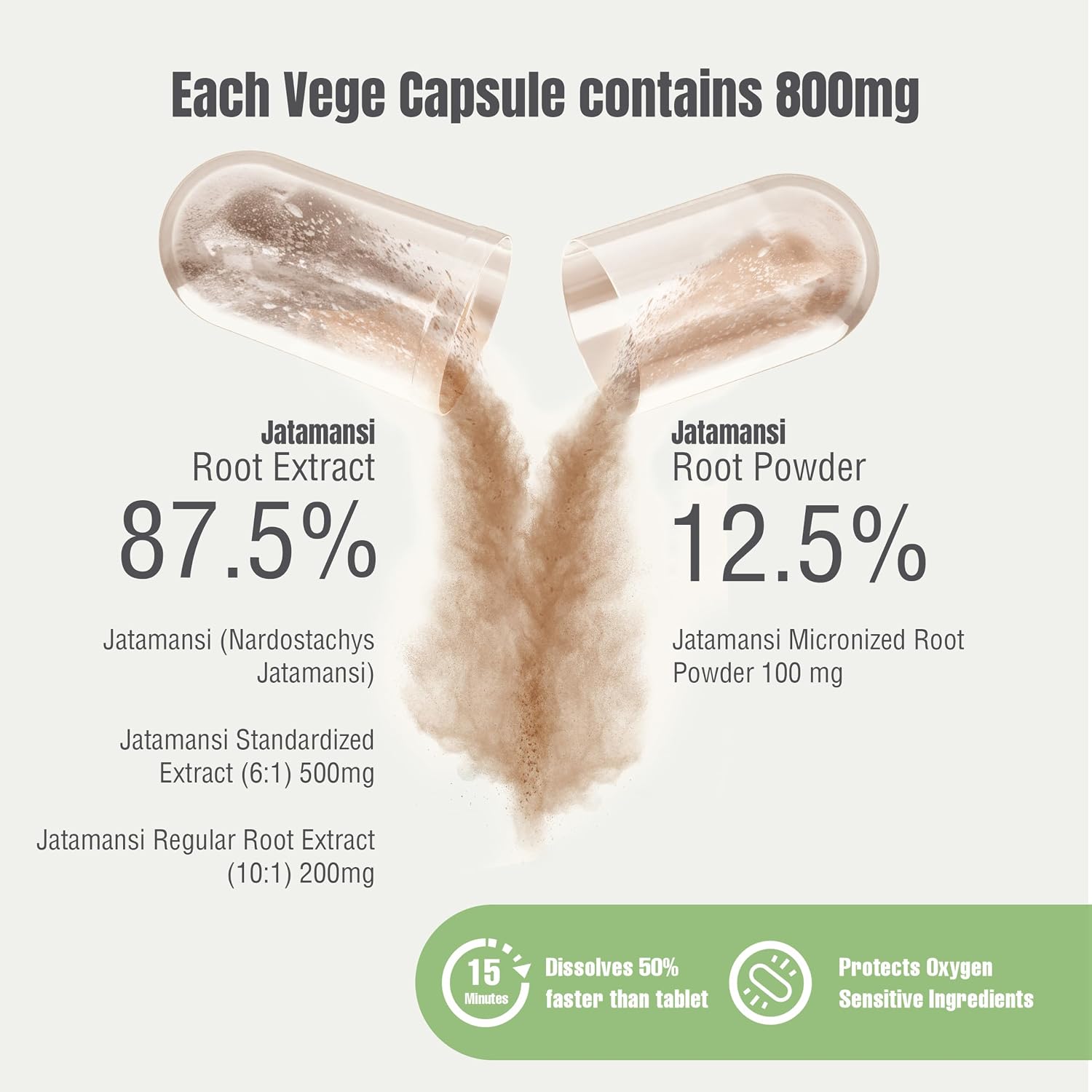 Herbsforever Cápsulas de Jatamansi | Nardostachys Jatamansi | 60 Cápsulas Veganas, 800 mg