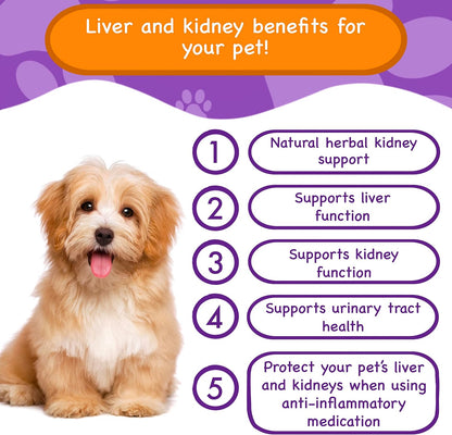 PawPuk Paws Suplemento Hepático y Renal para – Silimarina: Extracto de cardo mariano, conocido por su apoyo a la – Image 2