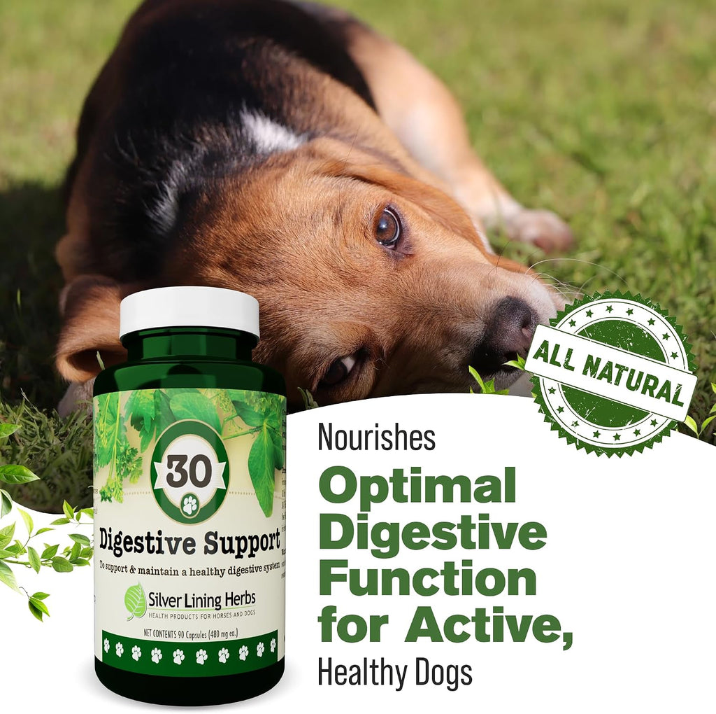 Digestive Support for Dogs - Natural Herbal Supplement - 90 Capsules