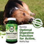 Digestive Support for Dogs - Natural Herbal Supplement - 90 Capsules