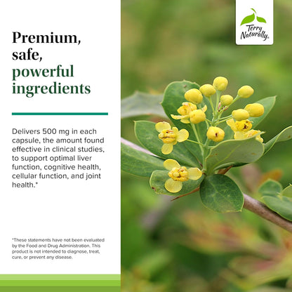 Terry Naturally Berberine - Suplemento con Berberina - 60 Cápsulas (Pack de 2) – Image 5