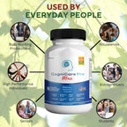 Cognicare Pro Max - Suplemento para el apoyo cerebral, mejora de memoria y concentración - 60 cápsulas naturales