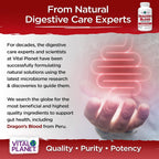 Vital Planet – Sangre de Dragón (Extracto de Resina de Croton lechleri) 500 mg – 60 Cápsulas