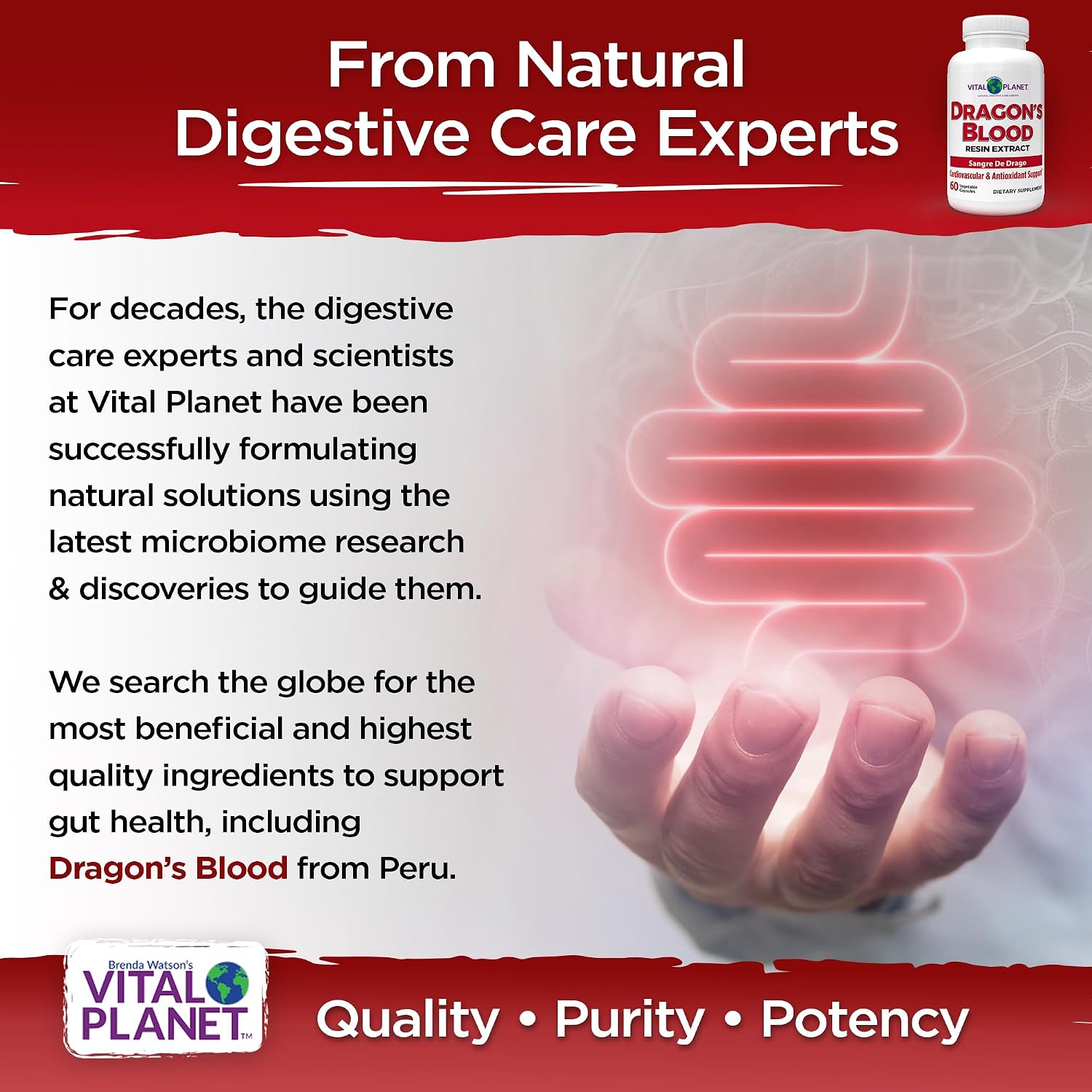 Vital Planet – Sangre de Dragón (Extracto de Resina de Croton lechleri) 500 mg – 60 Cápsulas