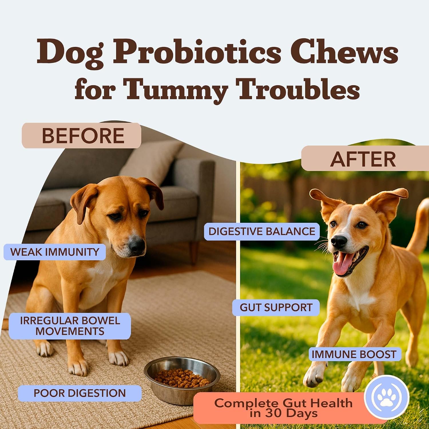 Natural Dog Company Probióticos para Perros – Masticables con 1B UFC, Cepas Microencapsuladas, Prebióticos y Enzimas para la Salud Digestiva, 45 unidades