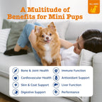 Zesty Paws Multivitamínico para Perros – Snacks masticables con pollo (90 unidades)