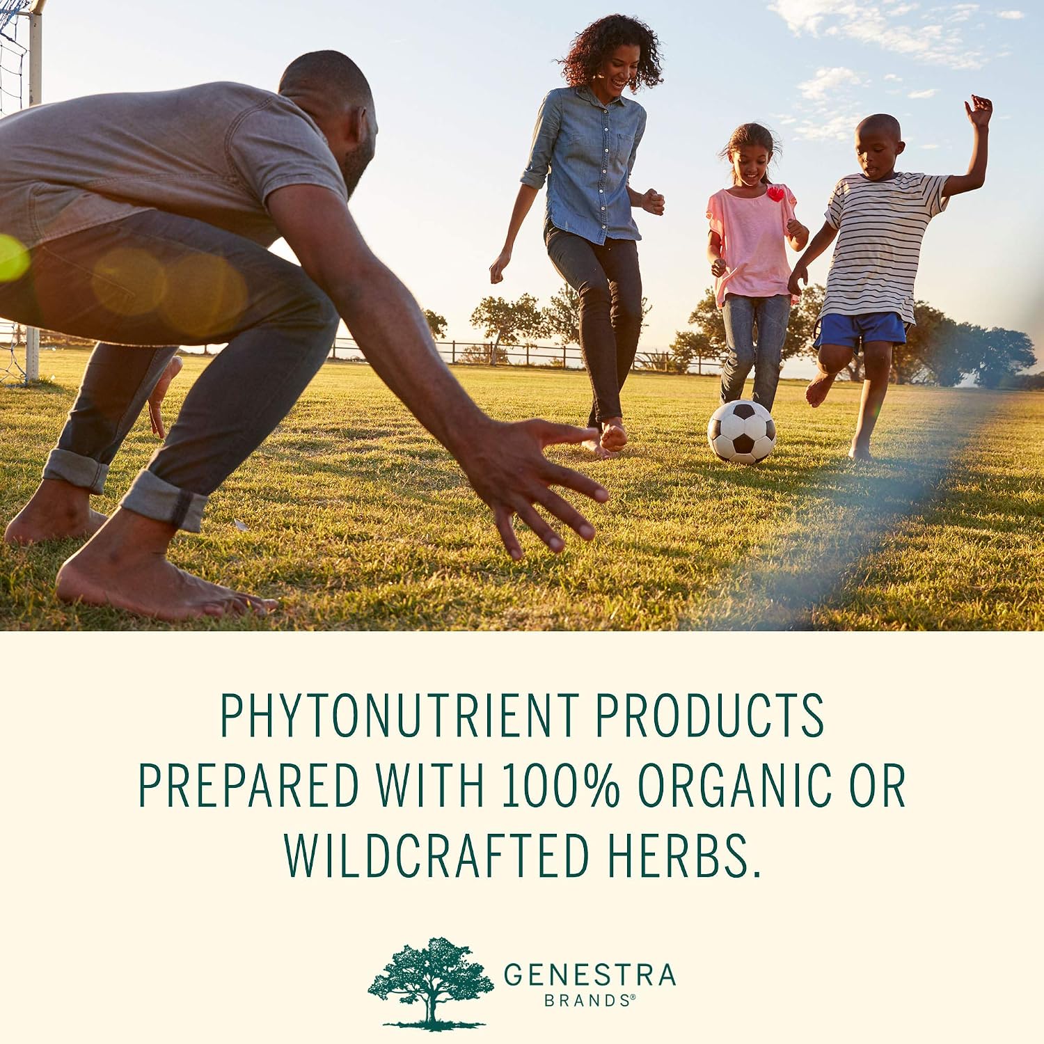 Genestra Brands Phyto Greens Cápsulas - Complemento Multivitamínico con Espirulina, Clorella y Aceite de Orégano - 180 Cápsulas
