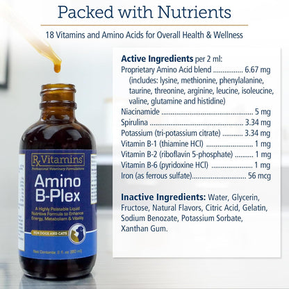 Rx Vitamins Amino B Plex Suplemento Líquido para Perros y Gatos - Complejo de Vitamina B con Aminoácidos - 60 ml – Image 6