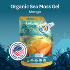 Yemayá Organic Sea Moss Gel Mango | Wildcrafted Seamoss Gel Enhanced with Real Fruit, Energy, Digestion, Hair, Skin & Nails | Mango Flavor, 16 oz