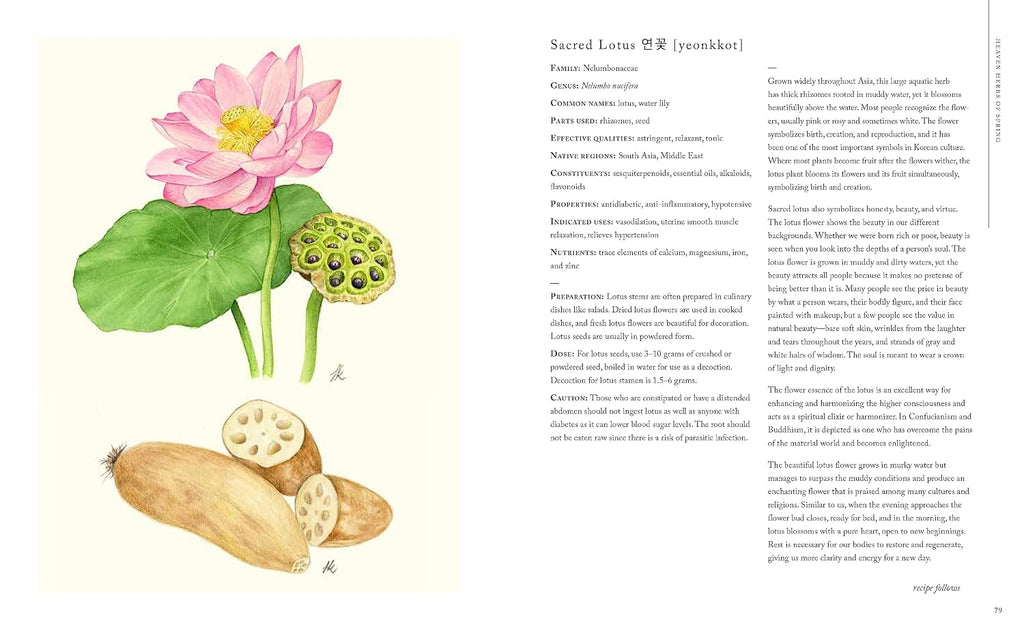 The Korean Herbal Apothecary: Ancient Wisdom for Wellness and Balance in the Modern World