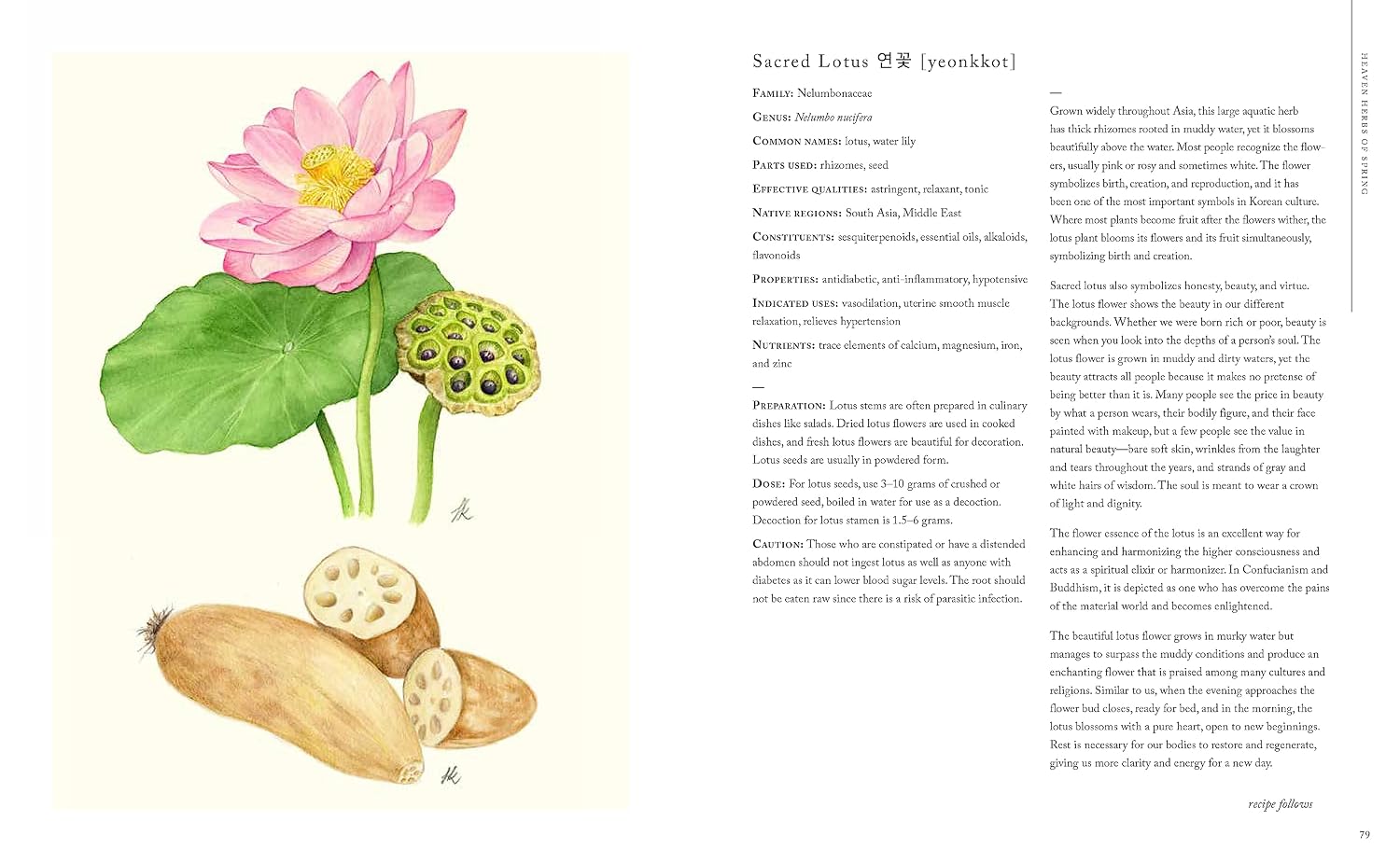 The Korean Herbal Apothecary: Ancient Wisdom for Wellness and Balance in the Modern World