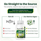 Marine Phytoplankton Omega 3 - Complemento Vegano de Algas Marinas, 1000mg, 60 Cápsulas