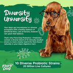 Vital Planet Flora Dog Probióticos para Perros – 20 Mil Millones de Cultivos, 10 Cepas – 30 Cápsulas de Liberación Retardada
