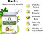 Polvo de Fruta de Amla (Amalaki) 100 g - AYURVEDASHREE