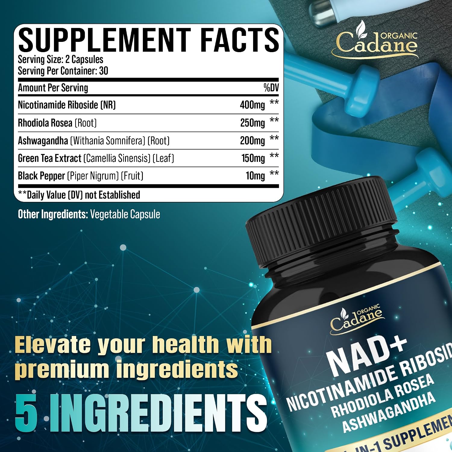 Organic Cadane Suplemento de Nicotinamida Ribósido con Rhodiola Rosea, Ashwagandha, Té Verde y Más | Salud Celular y Vitalidad | Vegano, No OGM – 60 Cápsulas
