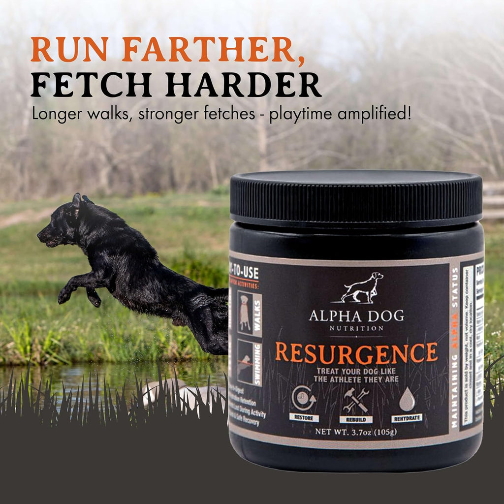 Alpha Dog Nutrition Electrolitos para Perros - Suplemento de Hidratación Formulado por Doctores con Sabor a Carne de Res para Caninos Activos - Polvo Versátil para la Recuperación de la Deshidratación y la Resistencia