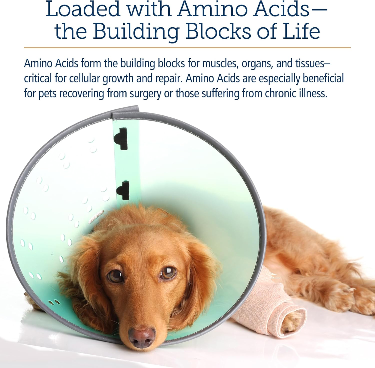 Rx Vitamins Amino B Plex Complejo B Líquido con Aminoácidos para Perros y Gatos - 118 ml