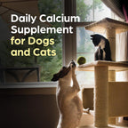 Pet-Cal Suplemento de Calcio, Fósforo y Vitamina D para Perros y Gatos - Comprimidos Masticables, 60 unidades