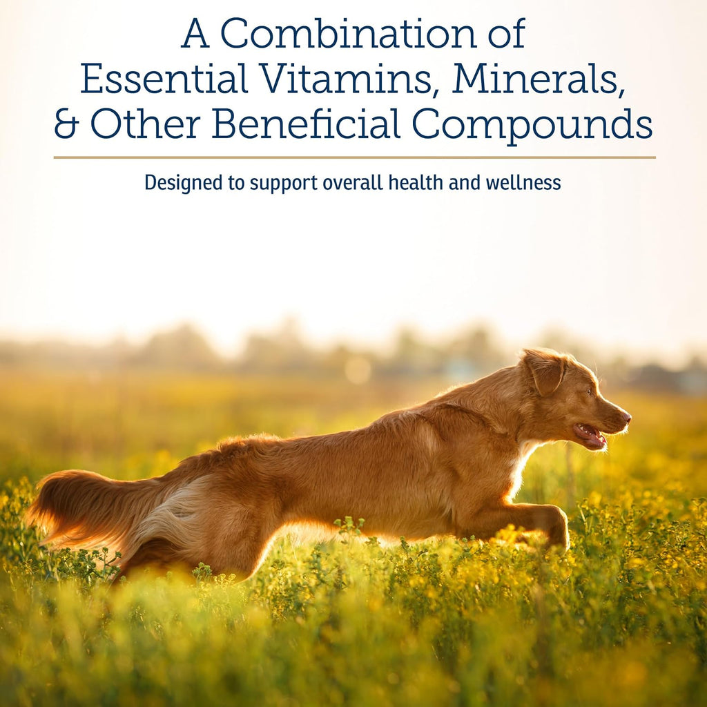 Rx Vitamins Apoyo Nutricional - Combinación de Vitaminas, Minerales y Compuestos Esenciales para Perros y Gatos - 257g