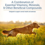 Rx Vitamins Apoyo Nutricional - Combinación de Vitaminas, Minerales y Compuestos Esenciales para Perros y Gatos - 257g