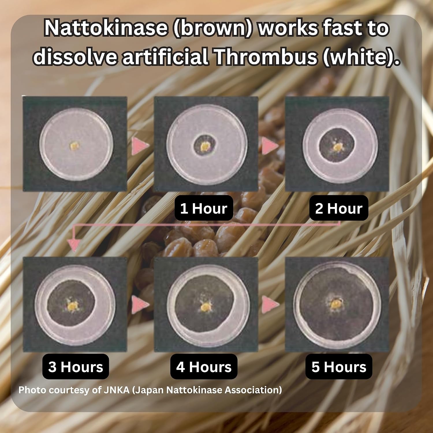 Nattokinase 2.000 FU y Kéfir - Suplemento para el Apoyo Cardiovascular - Fabricado en Japón (30 Cápsulas)