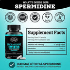 Suplemento de Spermidina 1440mg (99% Puro) - 120 Cápsulas - 4 Meses de Suministro