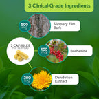 Vital Plan Gut Balance – Complemento Digestivo Avanzado con Slippery Elm, Berberina y Diente de León, 180 Cápsulas