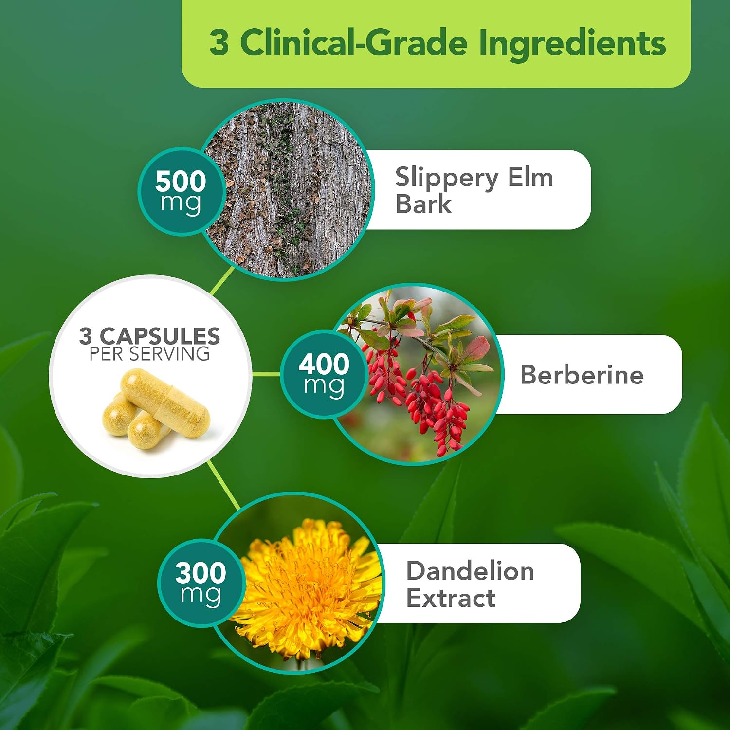 Vital Plan Gut Balance – Complemento Digestivo Avanzado con Slippery Elm, Berberina y Diente de León, 180 Cápsulas