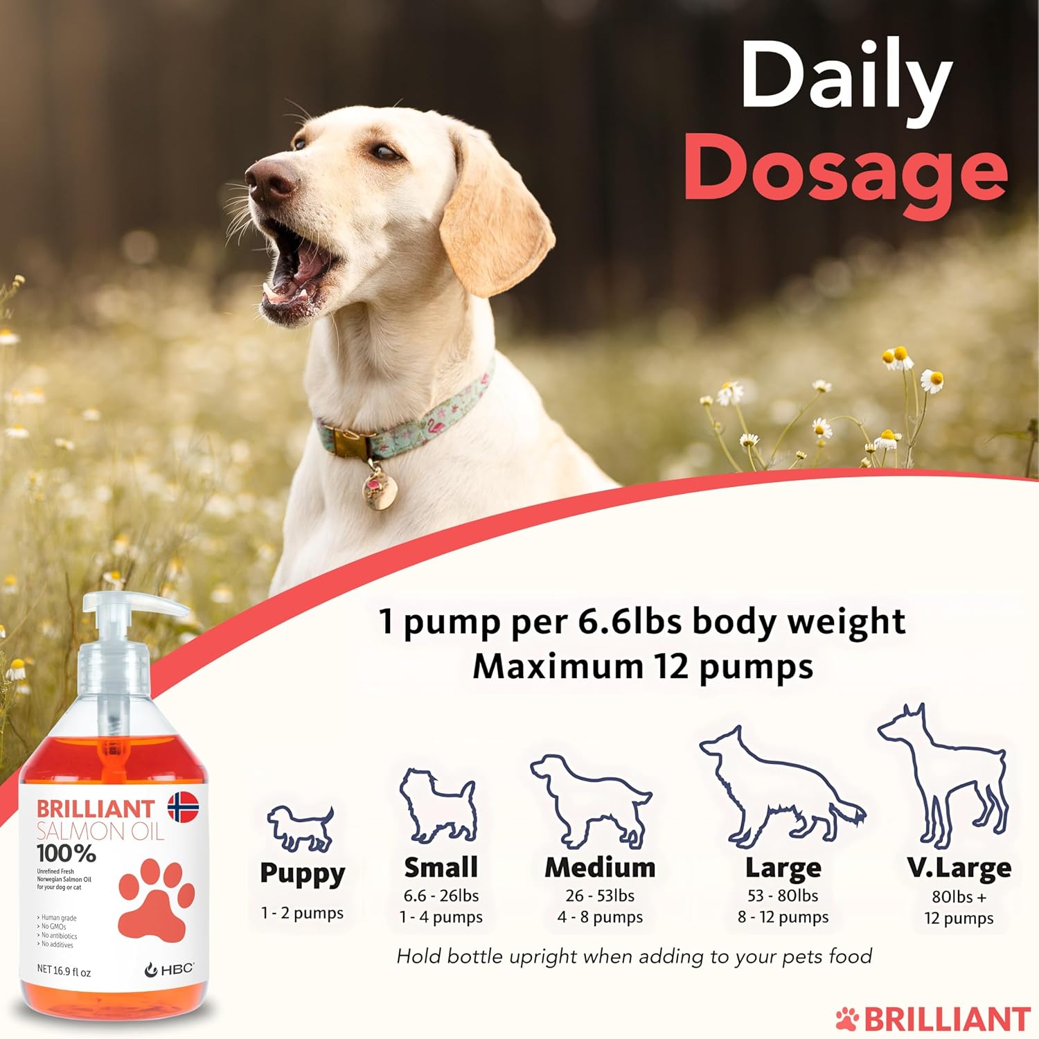 Brilliant Norwegian Salmon Oil for Dogs, Cats, Horse, Ferret - Pure Omega 3, 6 & 9 - 2x500 ml